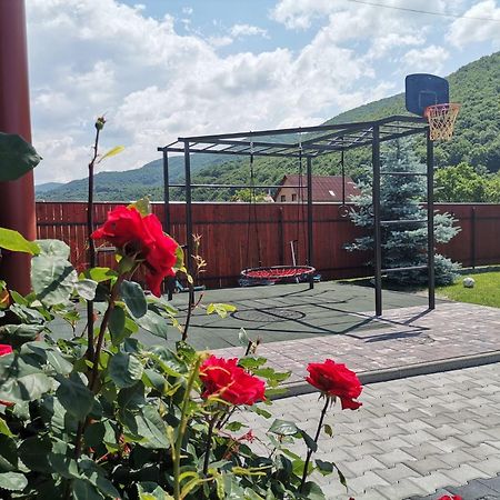 Dio Vendeghaz Hotel Praid Buitenkant foto