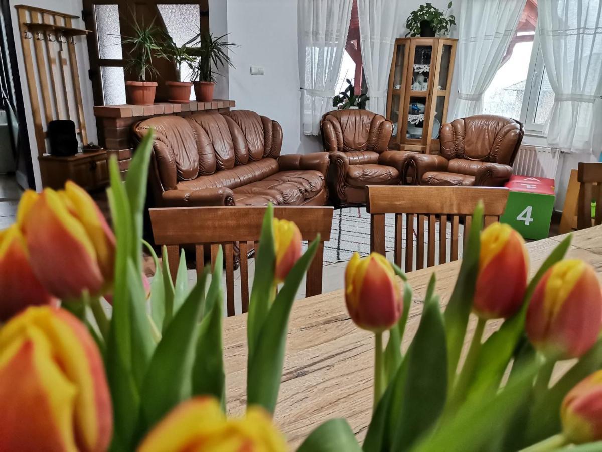 Dio Vendeghaz Hotel Praid Buitenkant foto