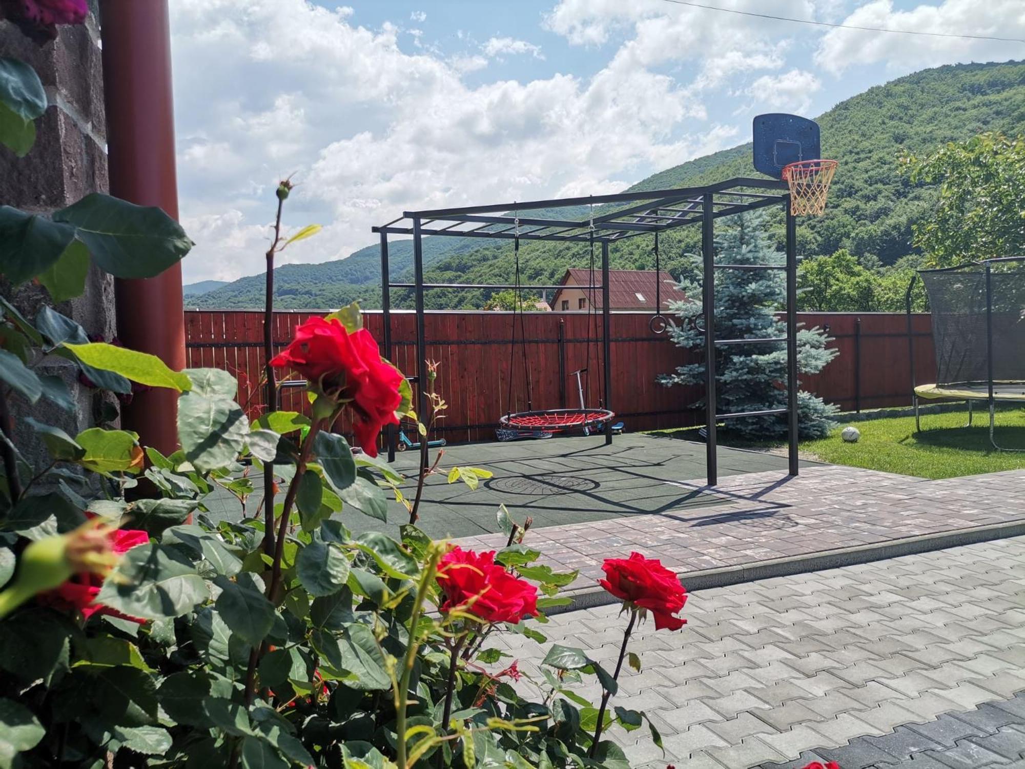 Dio Vendeghaz Hotel Praid Buitenkant foto
