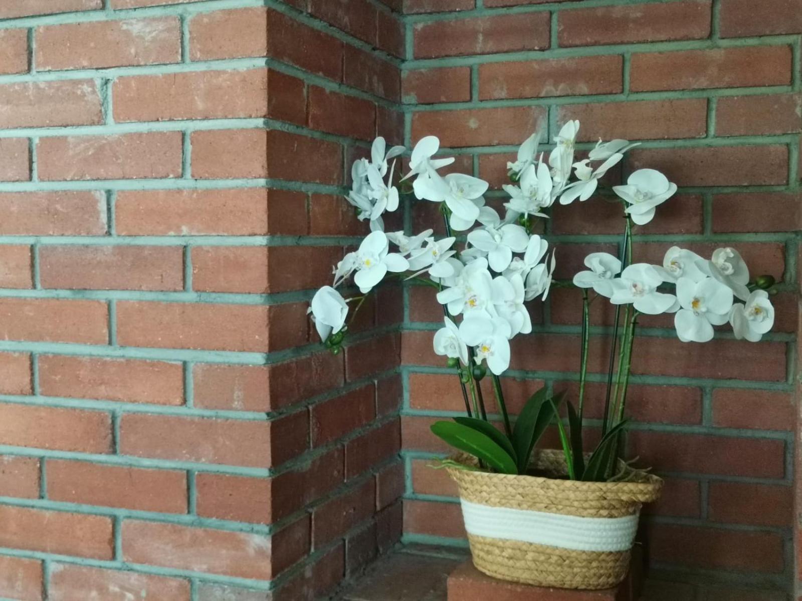 Dio Vendeghaz Hotel Praid Buitenkant foto